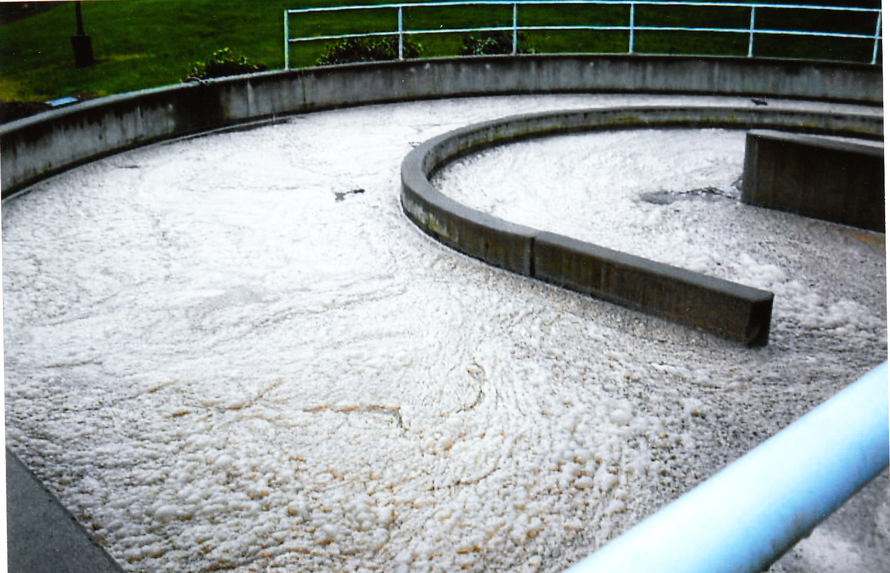FOAMING AND FILAMENT REDUCTION AT A MUNICIPAL WASTEWATER TREATMENT